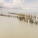 fishery5.jpg