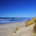 dunes-ocean-1113tm-bkgd-197.jpg
